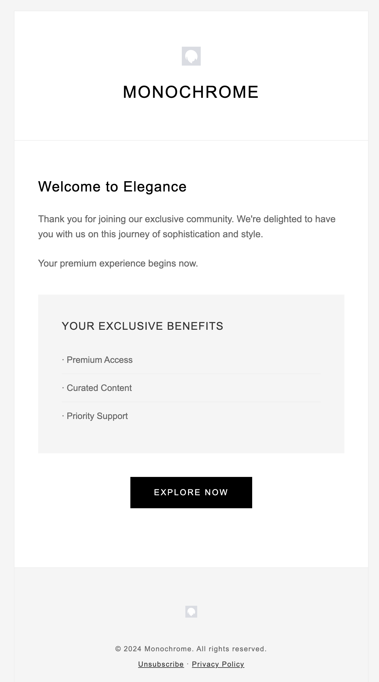 Monochrome Elegance Email Template