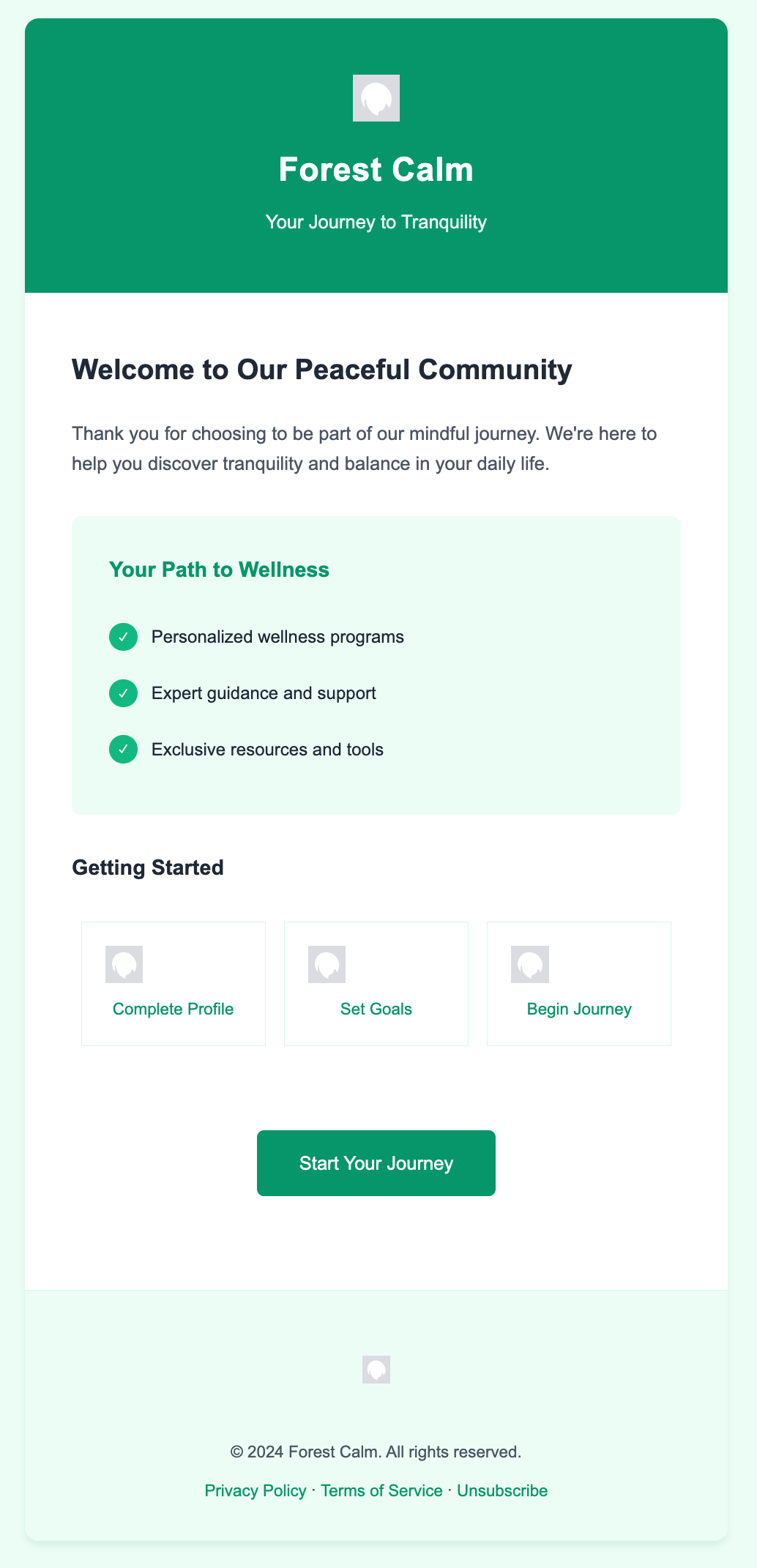 Forest Calm Email Template